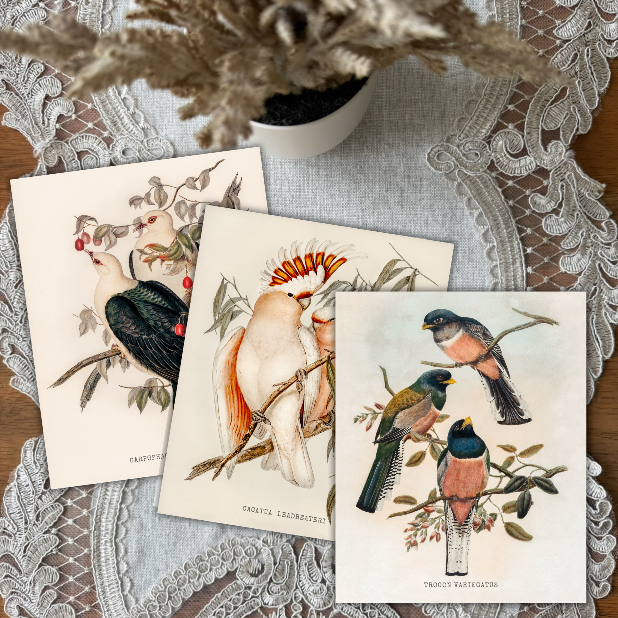 Birds Set of 3