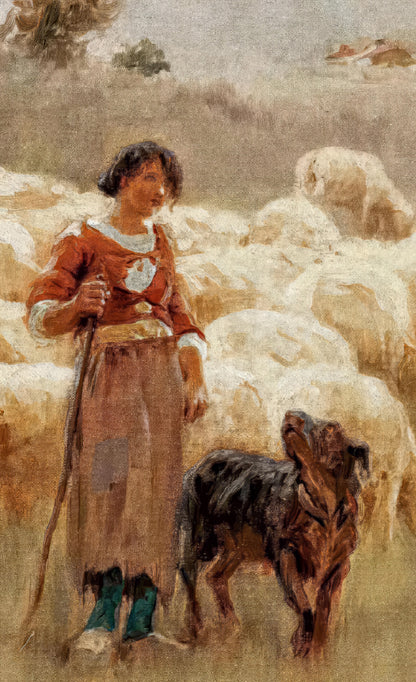 A Flock of Sheep