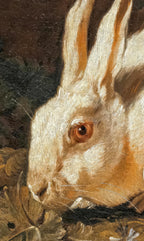 Close-up of a rabbit with detailed fur and expression