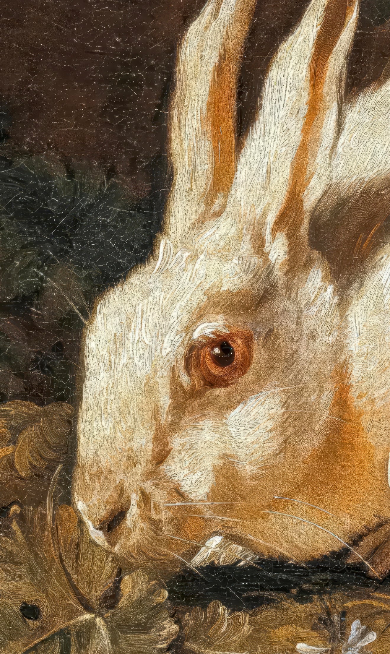 Close-up of a rabbit with detailed fur and expression