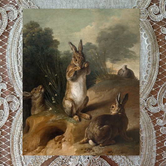 Rabbits