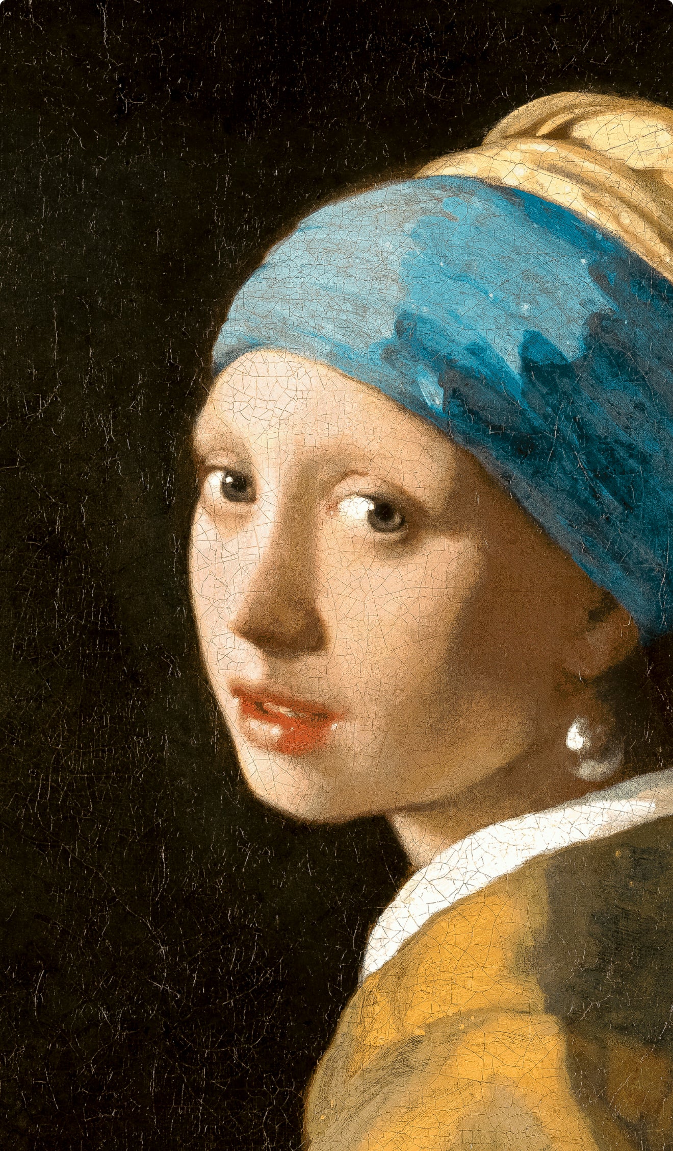 Girl With Pearl Earring