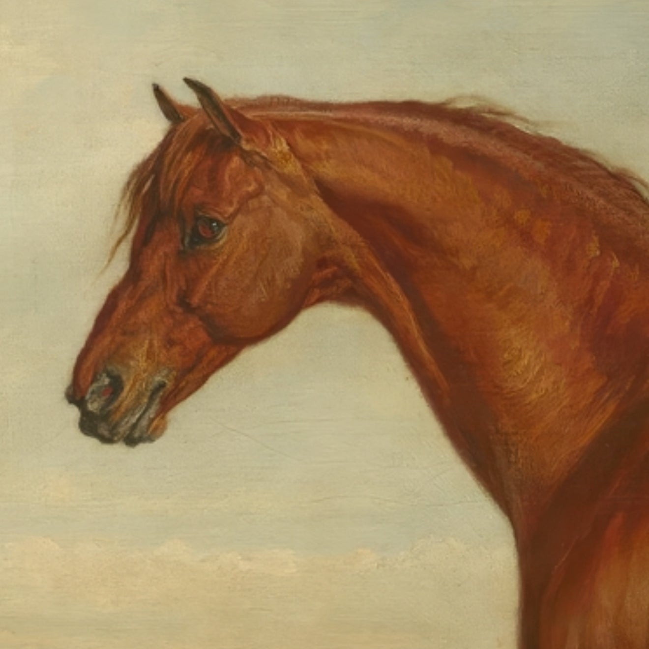 Artistic depiction of a brown horse against a plain background