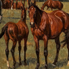 Horses in a field with trees and a building in the background