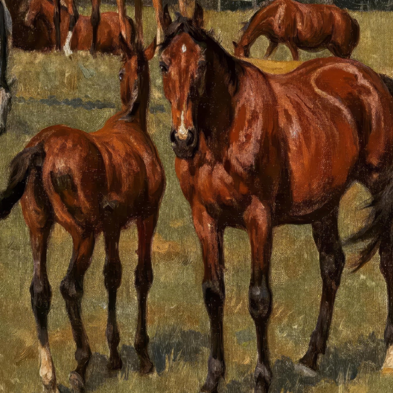 Horses in a field with trees and a building in the background