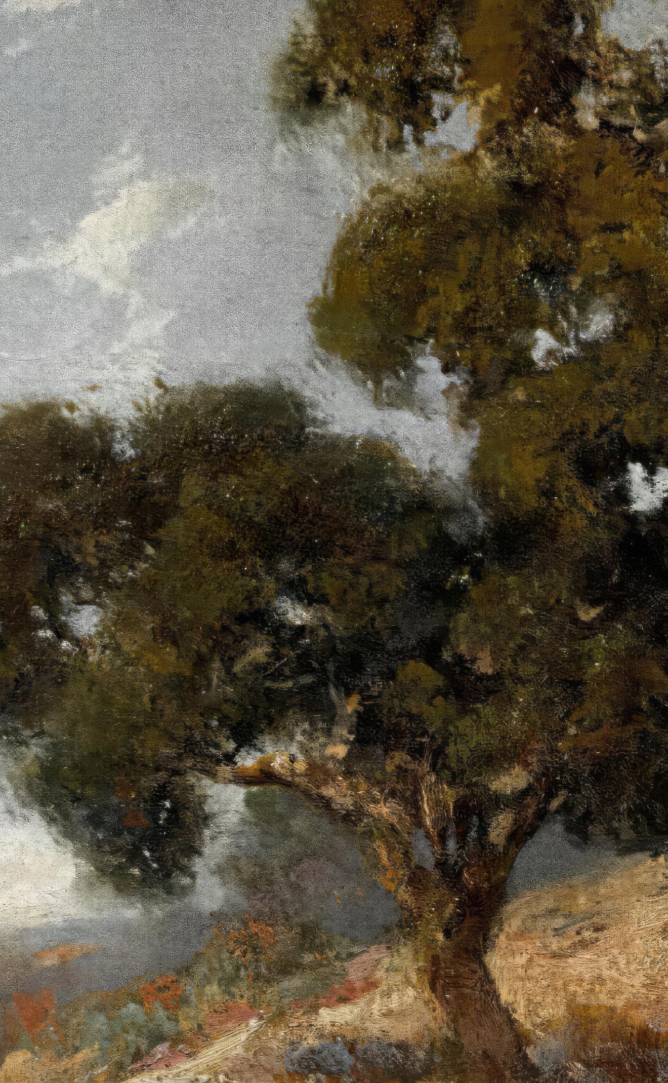 California Oaks