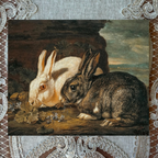 Black & White Rabbits