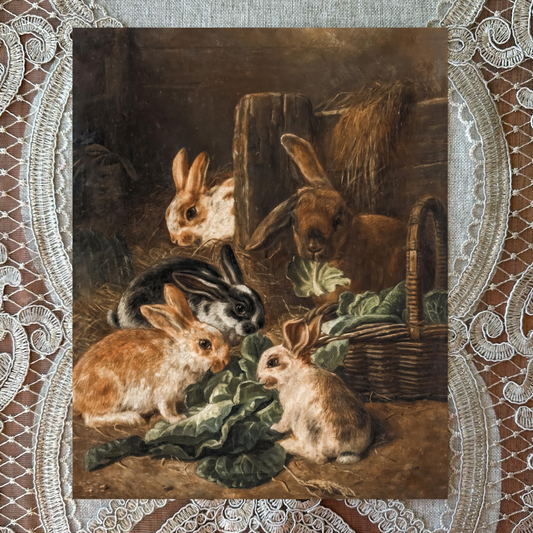 Rabbits In The Barn