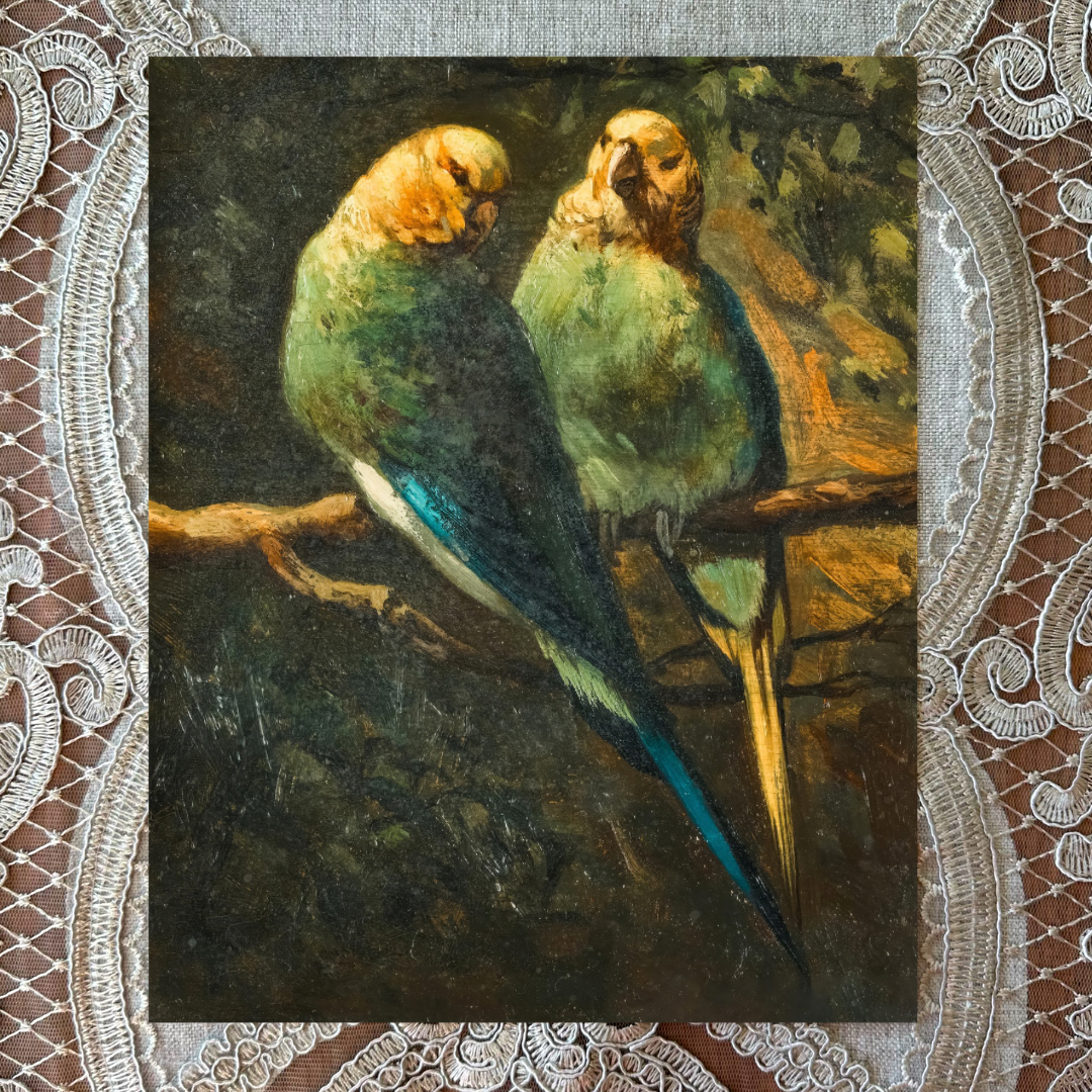 Vintage Parrots