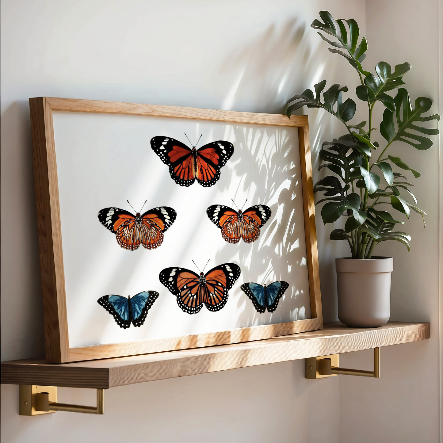 Moths 7