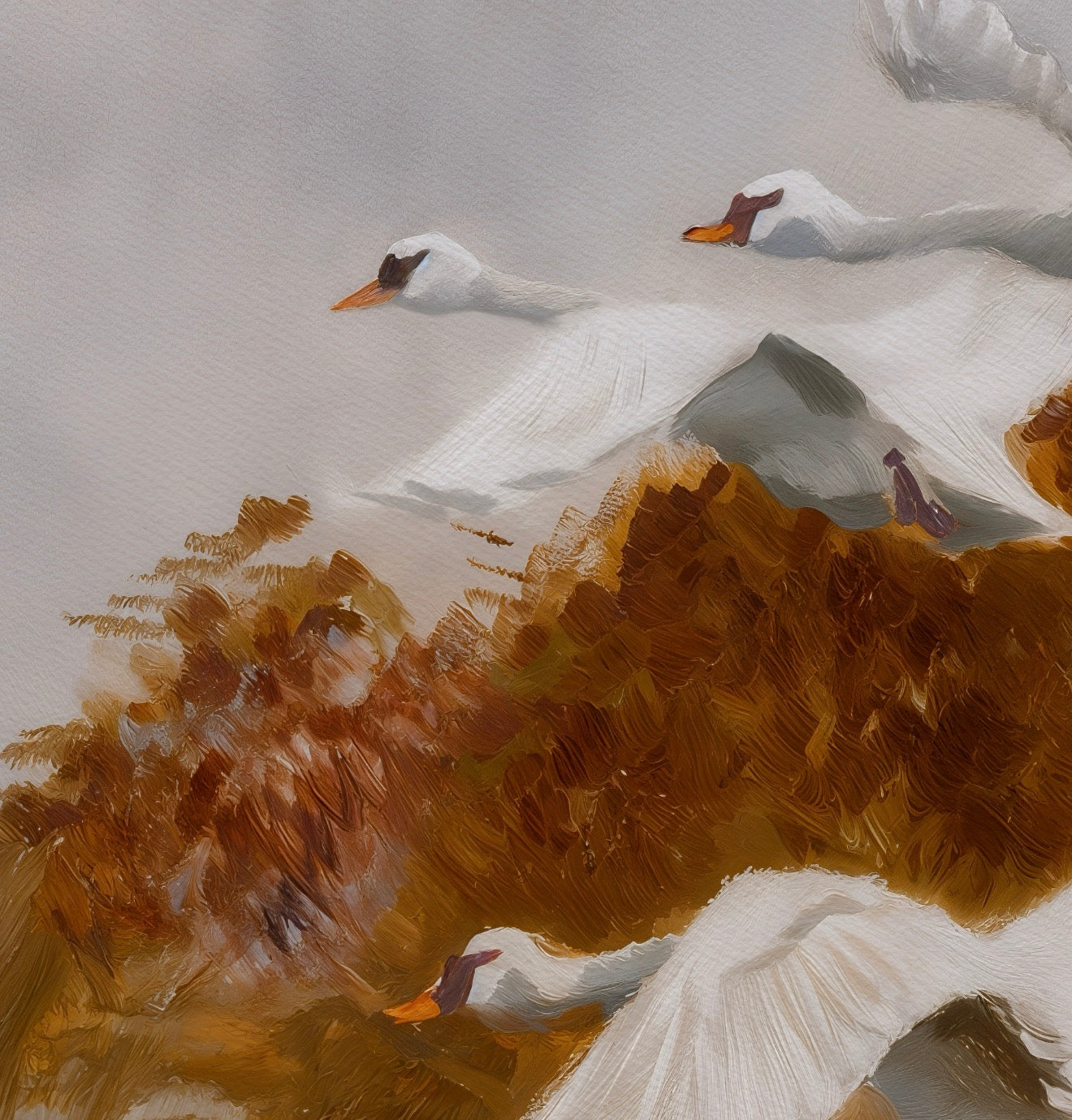 Swans Flying