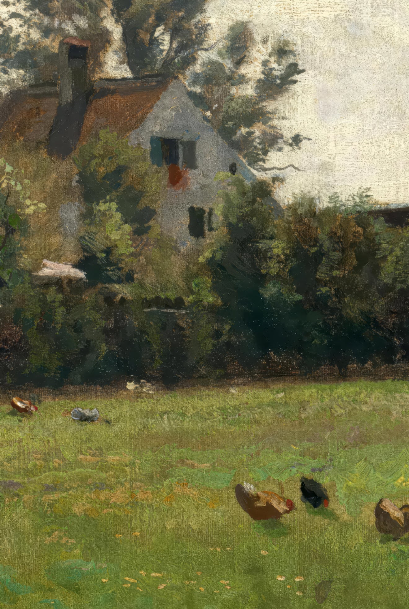 Village Meadow