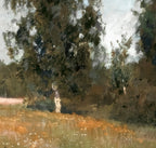 Summer Meadow