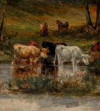 Cows in the River