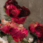 Close-up of pink and red flowers with a textured gray background