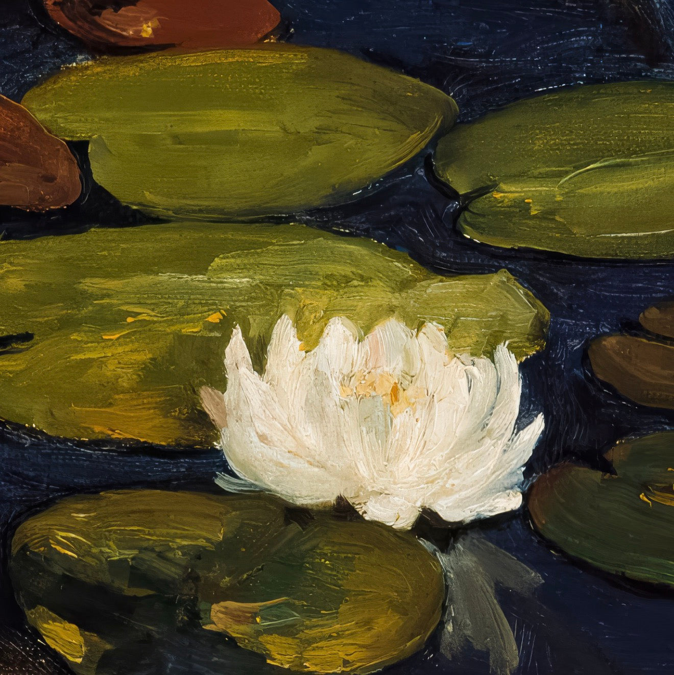 Water Lillies