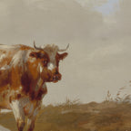 Quiet Herd