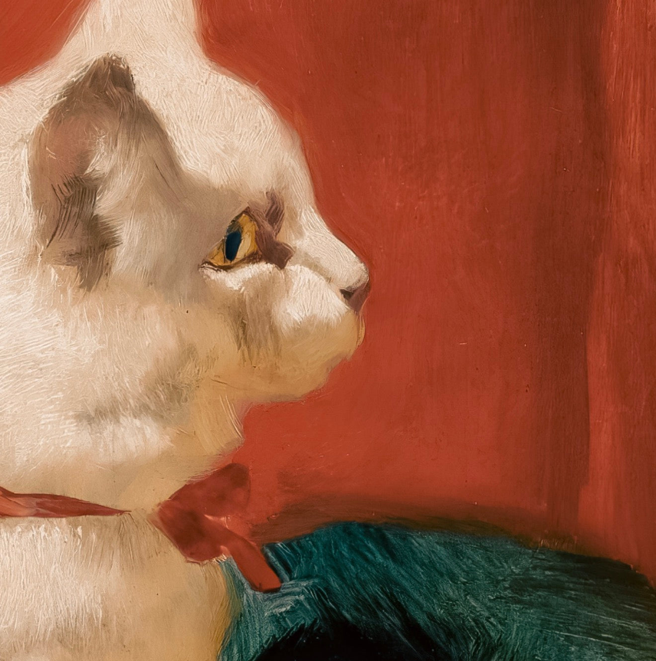 A White Cat