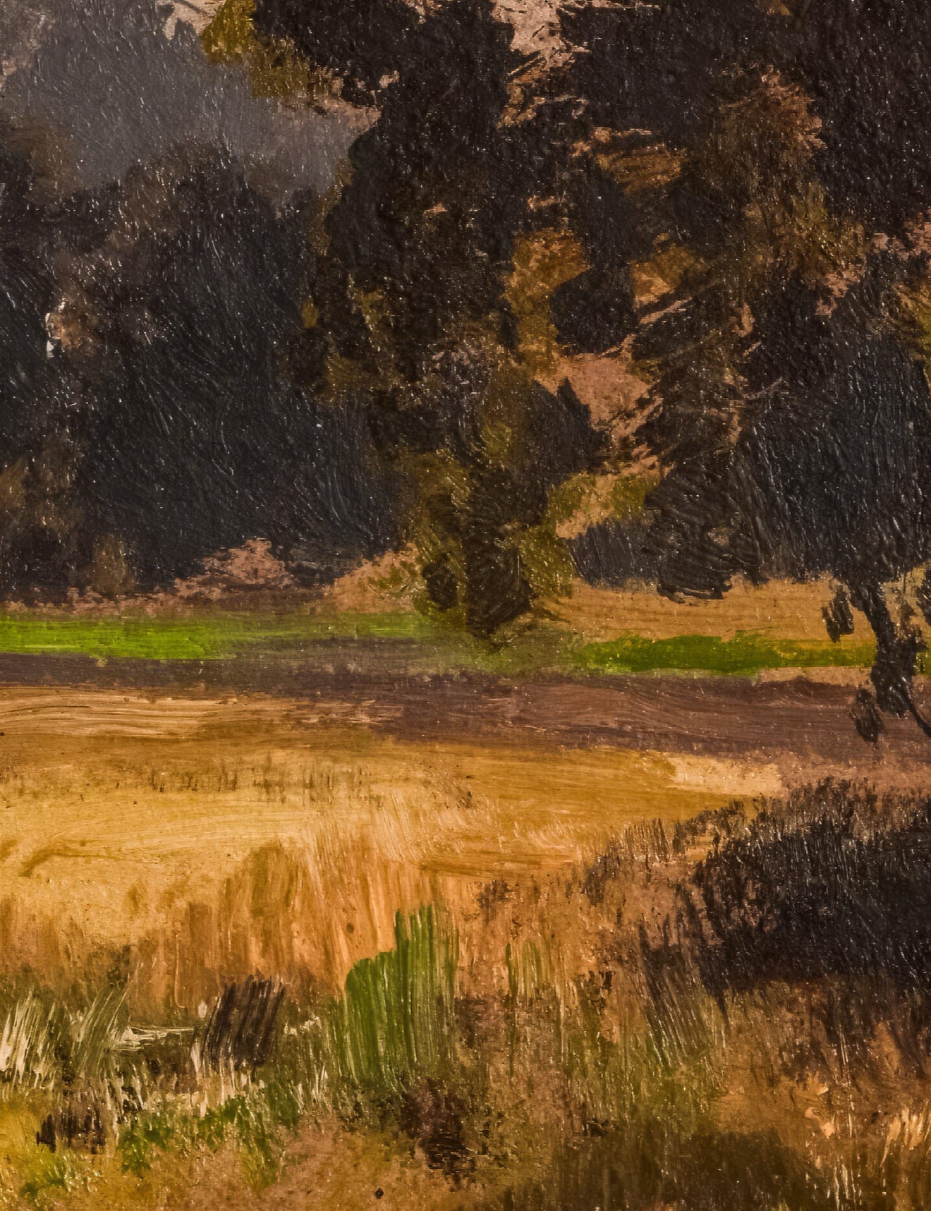Meadow in Spreewald