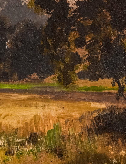 Meadow in Spreewald