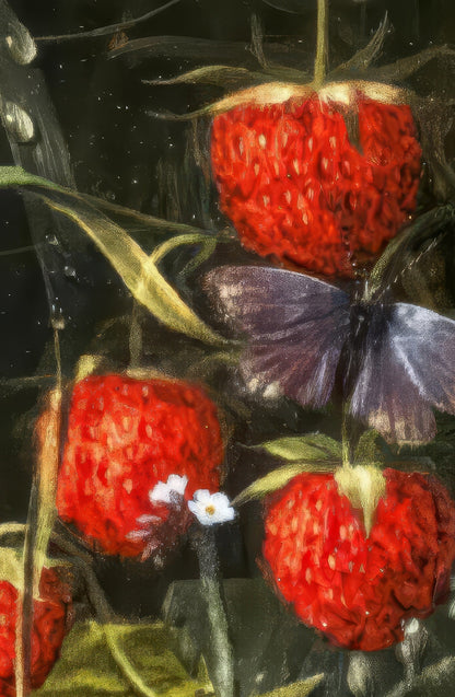 Roses & Strawberries