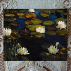 Water Lillies