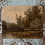 Marsh