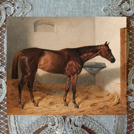 The Mare