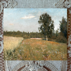 Summer Meadow