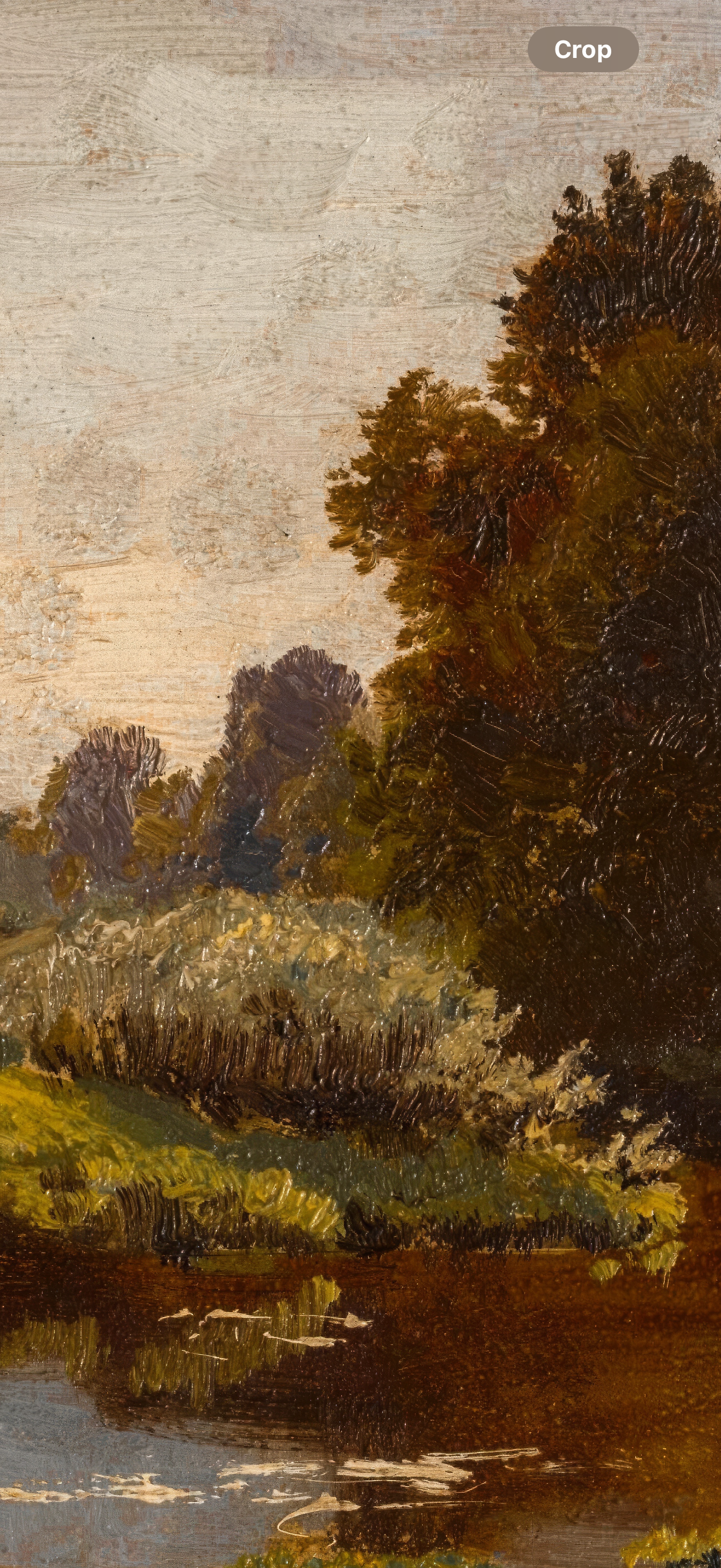 River Landscape