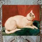 A White Cat