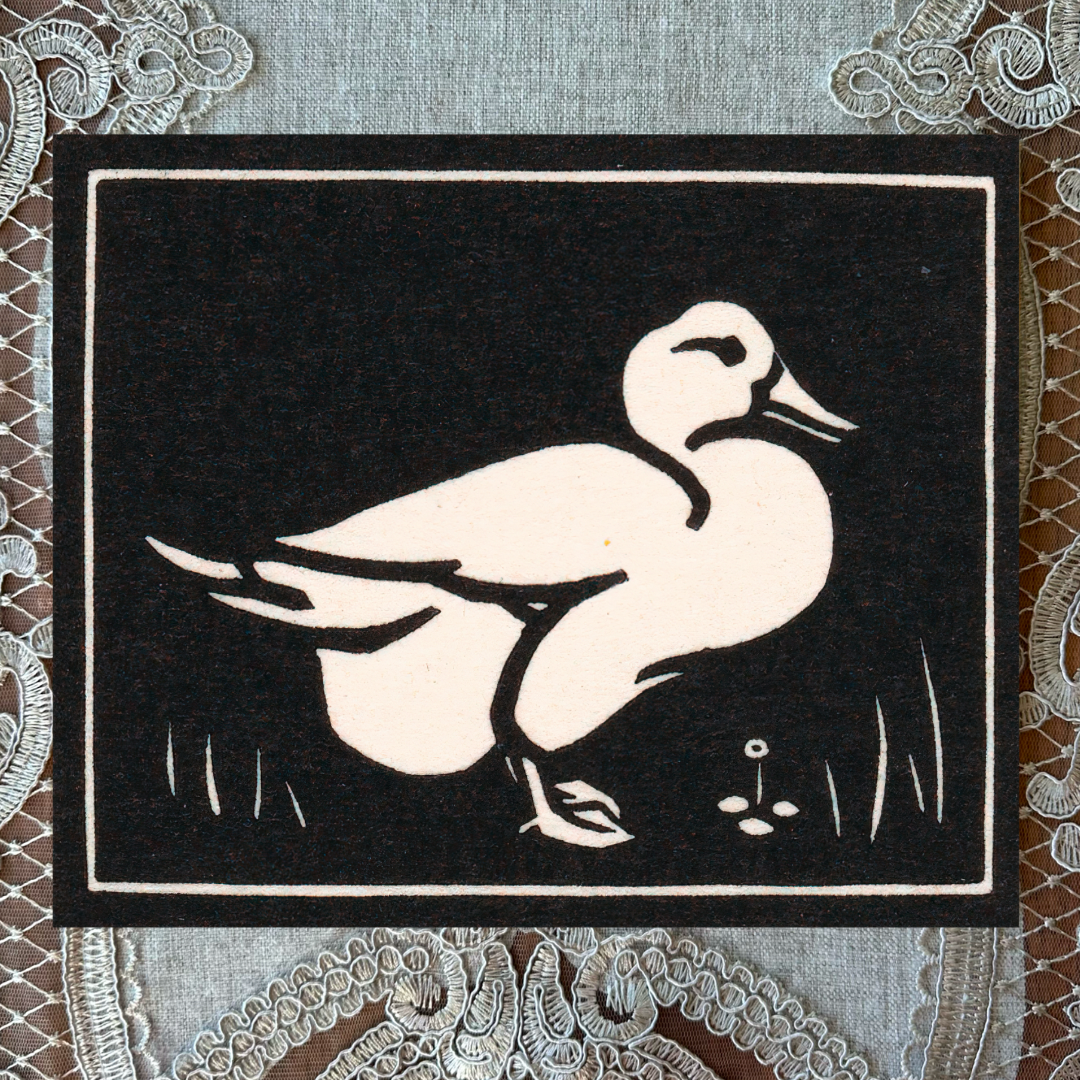 Duck Sketch