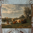 Cows in the Meadow