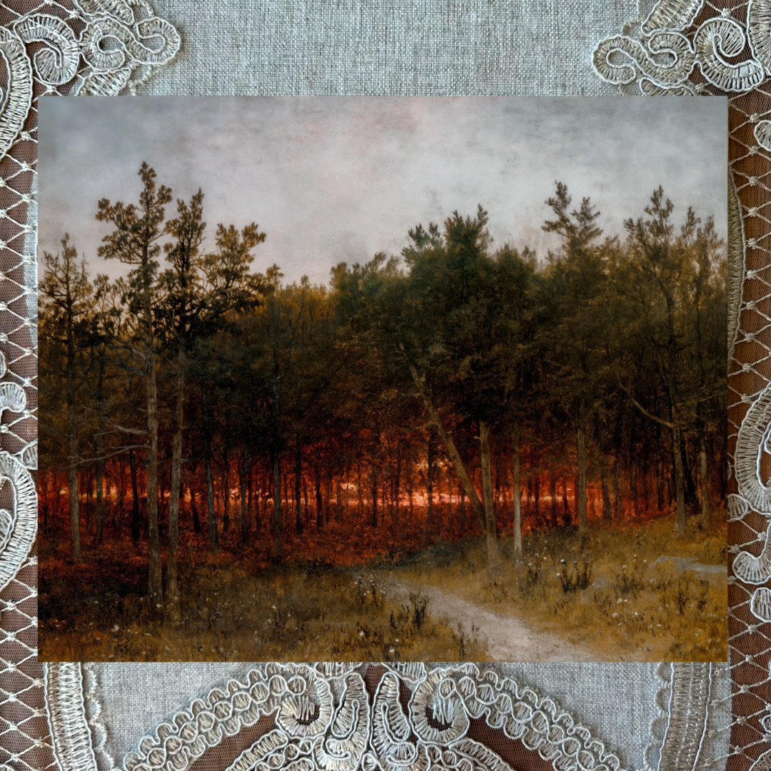 Twilight in the Cedars